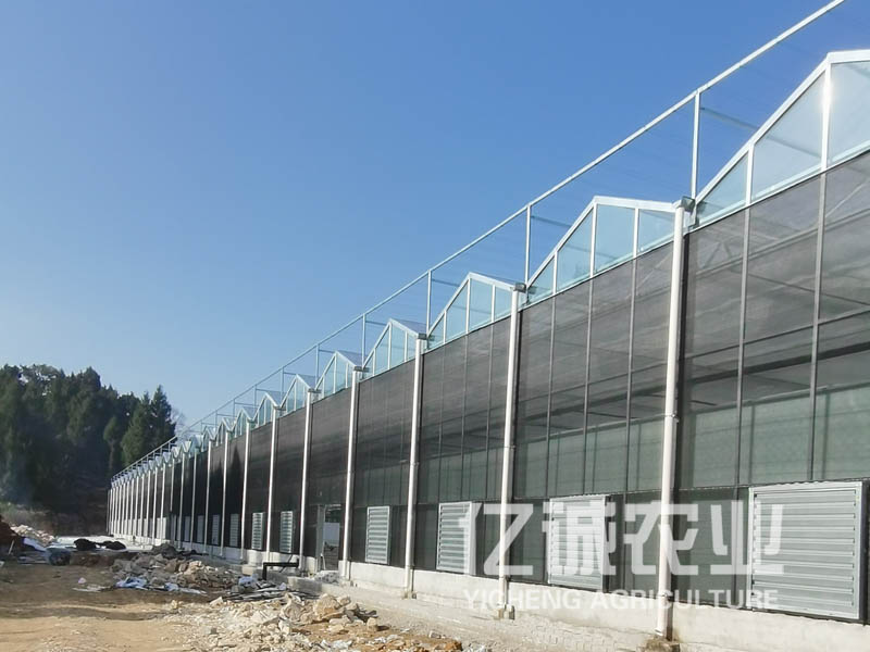 雙層薄膜連棟溫室大棚造價高不高？有哪些建造方式？